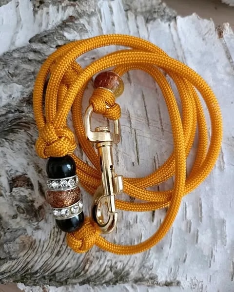 Langlebige Hundeleinen in der Schweiz kaufen